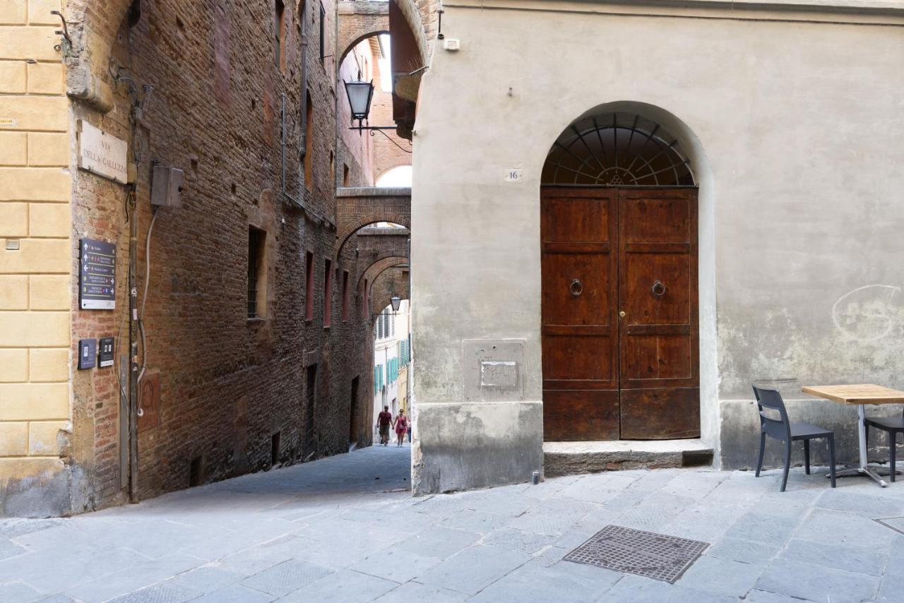 L'Azure Di Siena Leilighet Eksteriør bilde